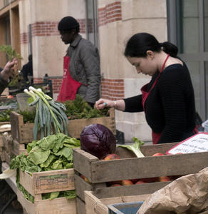 Le marché bio