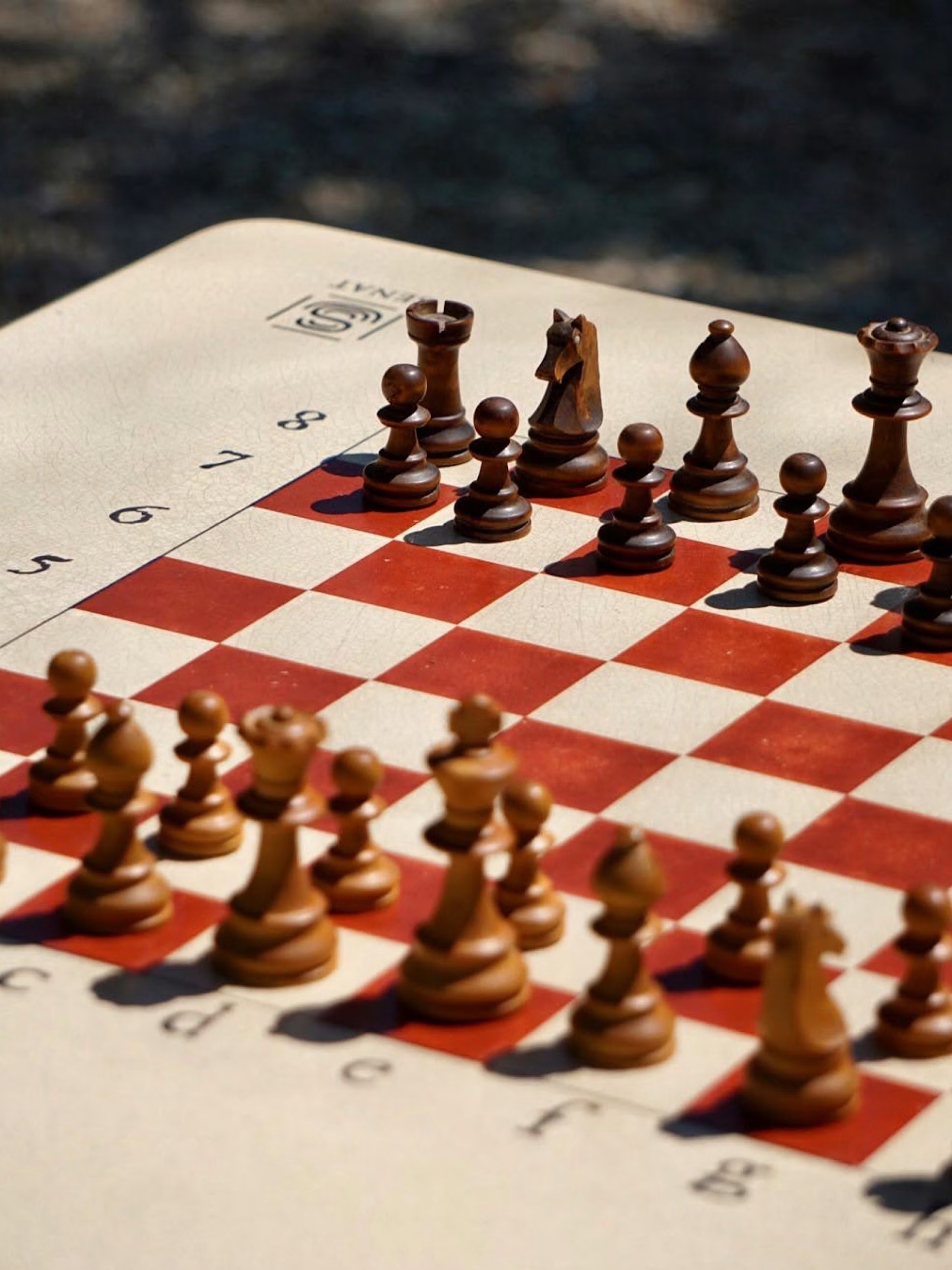 Échecs au Café Caché