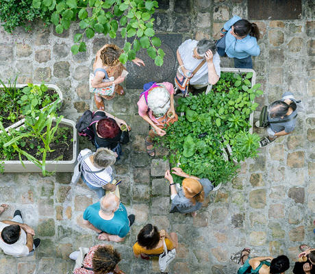 La récolte des graines