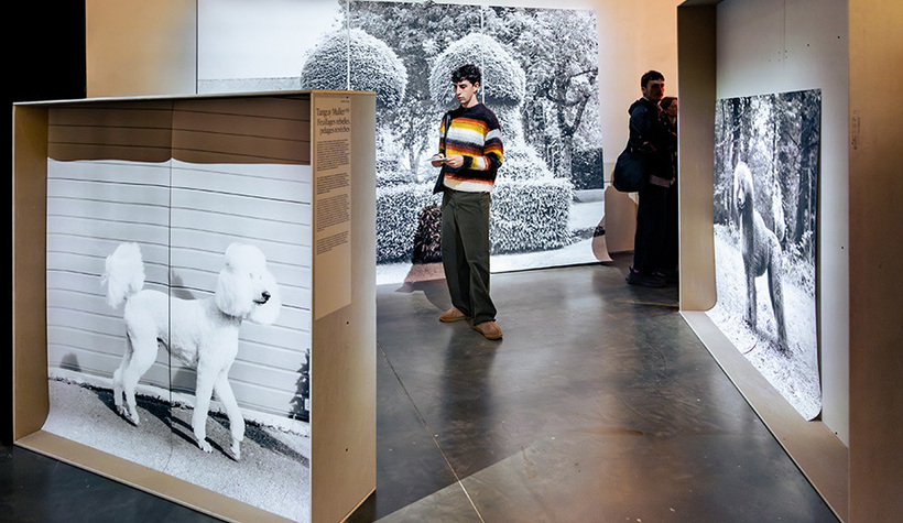 FESTIVAL_CIRCULATIONS-Photographe_Quentin_Chevrier_21mars2026-50