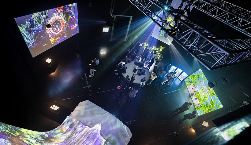 NEMO_expo_Photographe_Quentin_Chevrier_octo2025-14