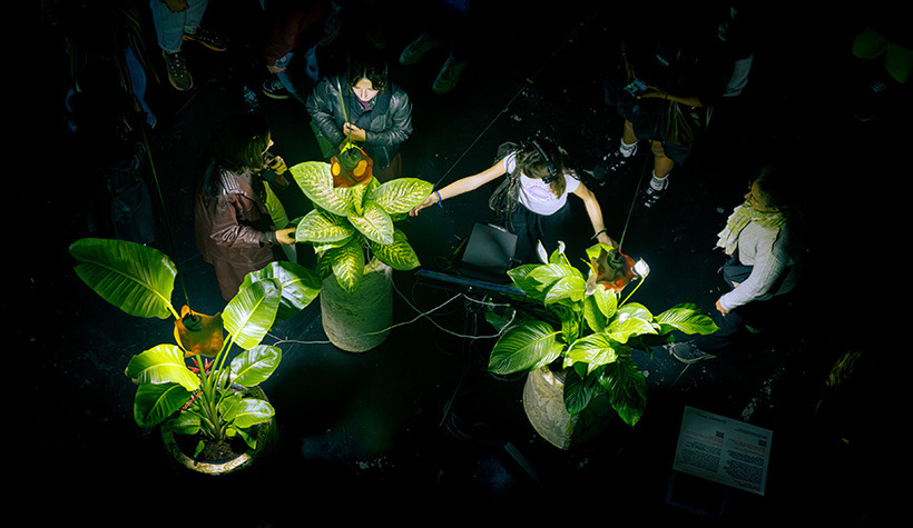 NEMO_expo_Photographe_Quentin_Chevrier_octo2025-15