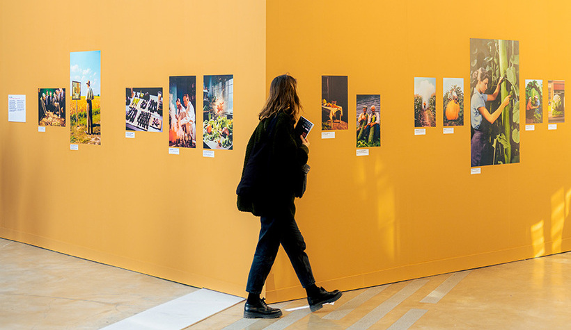 NEMO_expo_Photographe_Quentin_Chevrier_octo2025-33