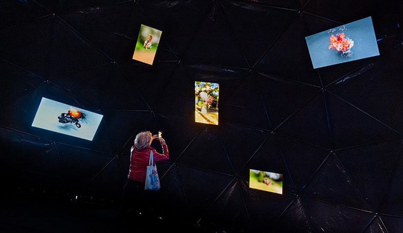 NEMO_expo_Photographe_Quentin_Chevrier_octo2025-39