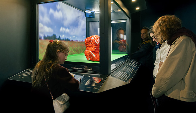 NEMO_expo_Photographe_Quentin_Chevrier_octo2025-42