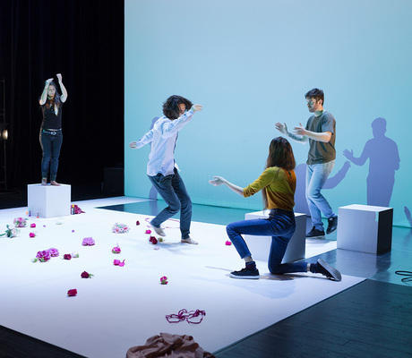 Paola Pisciottano / bolognaprocess