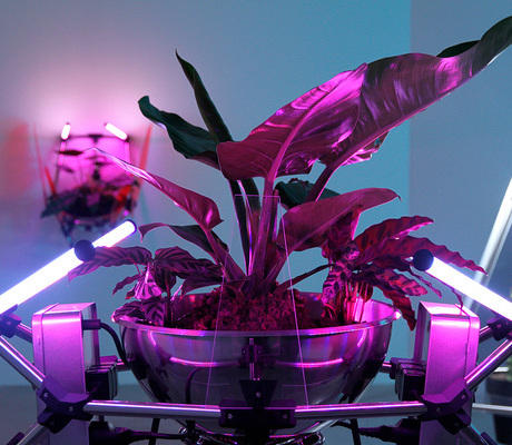 Les Disputes d’AgroParis Tech