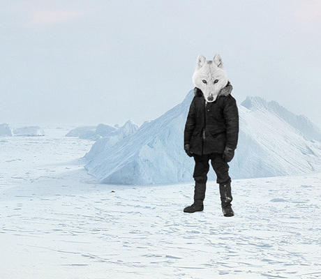 Compagnie Ives & Pony