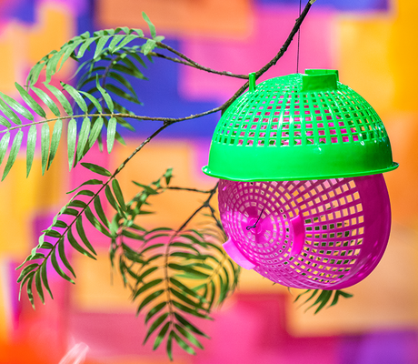 Lia Rodrigues et Redes de la Maré