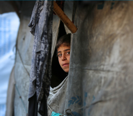 Une exposition proposée par la Ville de Paris avec l'UNRWA