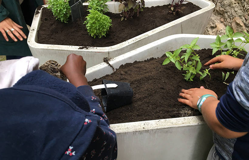mdp Le Jardin Caché