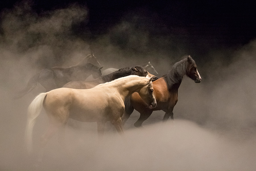 Ex Anima Mainvisual Atlas V